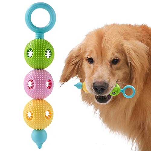 Dranng Molar Clean Teeth Gummispielzeug, Kauspielzeug für Hunde für Welpen | Saubere Zähne Gummi-Kürbis-Kauspielzeug | Robustes Hundespielzeug zur Zahnreinigung und Zahnfleischmassage für kleine und von Dranng