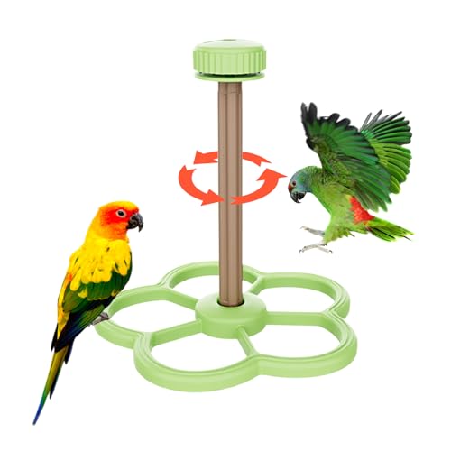 Dranng Vogel Sitzstange Ständer | Intelligentes Windspiel Spielzeug | Vogelkäfig Beschäftigungs- Und Spielständer Für Sittiche Aras Conures Nymphensittiche Wellensittiche Fensterplatz von Dranng