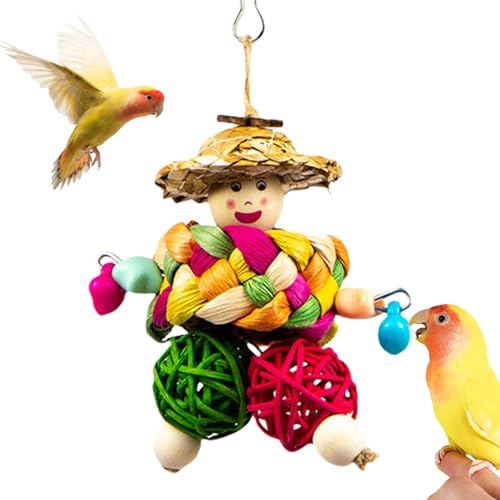 Dranng Vogelspielzeug für Conures, Conure -Spielzeug - Schnabel Schleifzubehör | Buntes Vogelkäfigspielzeug für kleine Shotes Conures Cockatiels Lovebirds von Dranng