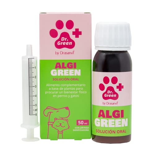 DR Green Algerien Lösung zum Einnehmen von Drasanvi – Natürliches Ergänzungsmittel für Hunde und Katzen, Unterstützung der Gelenke und Wohlbefinden von weichen Stoffen, mit PEA, Kurkuma, Boswellia von Drasanvi