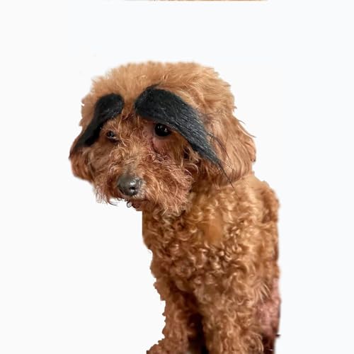 DRASAWEE Hunde-/Katzenkostüme, Augenbrauenperücke, Polyester, Haare, Hunde, Cosplay, Weihnachten, Halloween, Haustierdekoration, Schwarz von Drasawee