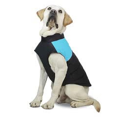 Drasawee Hunde-Wintermantel, winddicht, gemütlich, kaltes Wetter, Hundejacke, Hundeweste für kleine, mittelgroße und große Hunde, Blau, Größe L von Drasawee