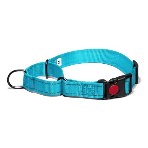 Martingale Hundehalsband, Reflektierendes Zugstopp Halsband Hunde für Große Mittlere und Kleine Hunde, Nylon Zughalsband mit Stopp für Hunde Whippets, Greyhounds (Blau, S) von Dratenger