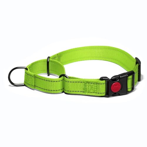 Martingale Hundehalsband, Reflektierendes Zugstopp Halsband Hunde für Große Mittlere und Kleine Hunde, Nylon Zughalsband mit Stopp für Hunde Whippets, Greyhounds (Grüner, M) von Dratenger
