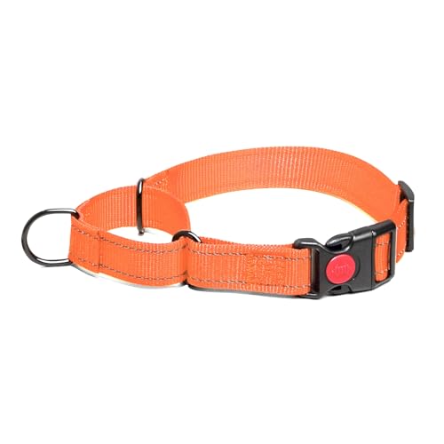 Martingale Hundehalsband, Reflektierendes Zugstopp Halsband Hunde für Große Mittlere und Kleine Hunde, Nylon Zughalsband mit Stopp für Hunde Whippets, Greyhounds (Orange, L) von Dratenger