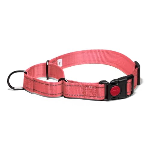 Martingale Hundehalsband, Reflektierendes Zugstopp Halsband Hunde für Große Mittlere und Kleine Hunde, Nylon Zughalsband mit Stopp für Hunde Whippets, Greyhounds (Rosa, S) von Dratenger
