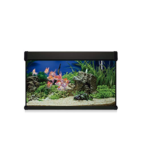 Dream Aqua Lux Pro 100 mit Filter Innenraum, Glas, Aquarium, Fische, 470575031 von ICA