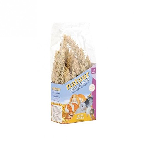 Esve Weizenähre - natürlicher Snack für Nagetiere 90 g von Dreambox