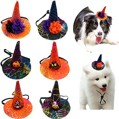 6 Stück Haustier Halloween Hüte Hund Kürbis Kopfbedeckung Party Cosplay Kostüm Verstellbar Katze Hut für Welpen Kleine Hunde Katzen (6 Stück) von Dreamls
