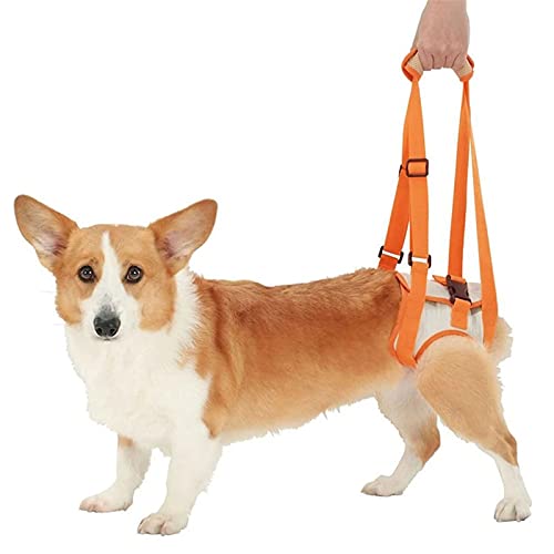 Dog Lift Support Harness for Back Legs, Portable Dog Recovery Sling Adjustable Dog Lift Sling for Dogs Walking (S) von Dreamls