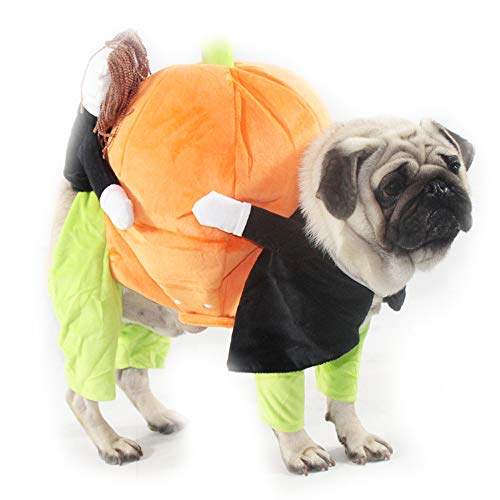 Dreamls Halloween-Kostüm für Hunde, Halloween, Kürbis-Kostüm, für kleine und mittelgroße Hunde von Dreamls
