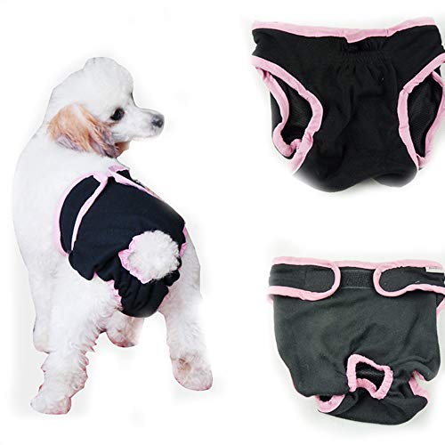 Dreamls Haustier Windel, Weibliche Hund, Sanitär Hose, weiche Baumwolle, waschbar, Physiologische Hosen mit elastischer Unterwäsche für kleine Hunde von Dreamls