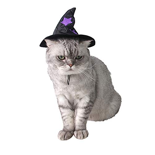 Dreamls Haustierhüte, für Hunde und Katzen, Halloween, Party-Hut, Zauberer mit Stern-Deko, verstellbare Kopfbedeckung für Partys von Dreamls