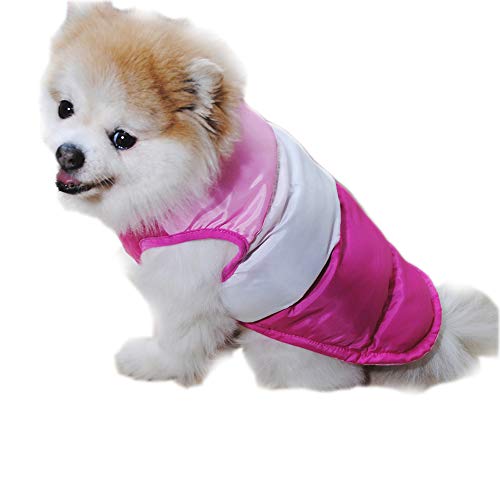 Dreamls Haustierkleidung, Wintermantel für Hunde, kaltes Wetter, kleine Hundejacke, warm, winddicht, Baumwolle, Hundekostüm für Welpen, mittelgroße Hunde (S-Rosenrot) von Dreamls