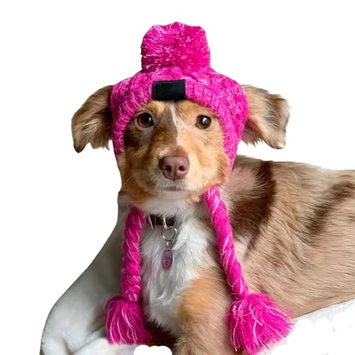 Dreamls Haustiermütze, Hundehüte mit Ohrlöchern, warm, für den Winter, Katze, Strickmütze, winddicht, Hunde-Kopfbedeckung für Welpen, kleine, mittelgroße Hunde (S: Violett) von Dreamls