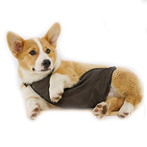 Dreamls Hundegeschirr, Hundegeschirr, Brust- und Bauchschutz, atmungsaktiv, wasserfest, für Welpen, kleine Hunde und Katzen Dreamls Hundegeschirr, Hundegeschirr, Brust- und Bauchschutz, atmungsaktiv, wasserfest, für Welpen, kleine Hunde und Katzen von Dreamls