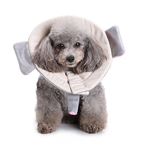 Dreamls Hundehalsband, für Hunde nach Operationen, E-Kragen zum Schutz vor Bissen, für kleine Hunde von Dreamls