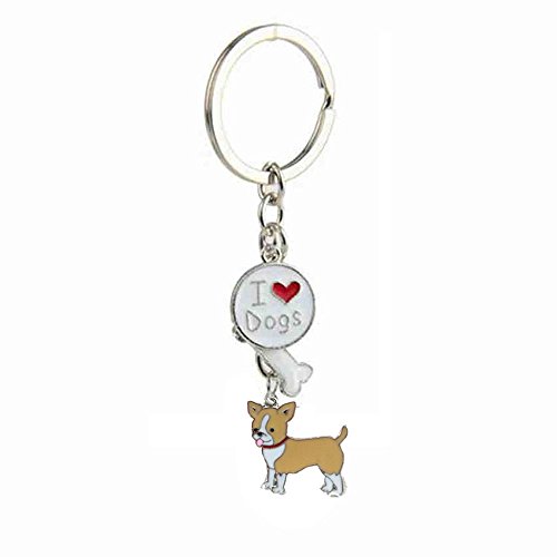 Dreamls Pet ID Tag Schlüsselanhänger, niedlicher Hund Schlüsselanhänger Metall Schlüsselanhänger, Schlüssel-Dekoration, Auto-Handtaschen-Schlüsselanhänger Geschenk für Freunde, Liebhaber von Dreamls