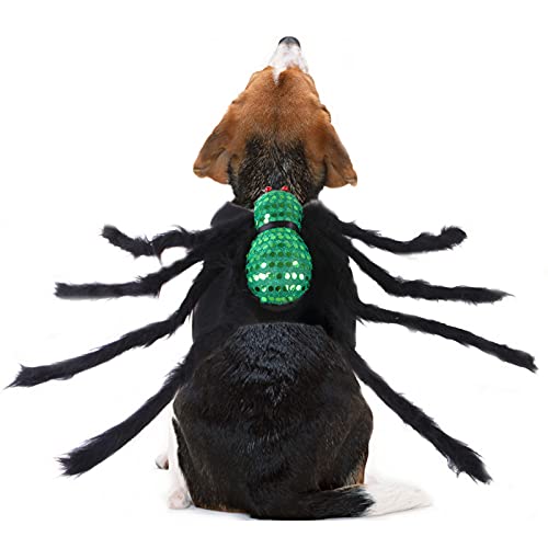 Halloween Hund Katze Spinne Kostüm Party Lustiges Cosplay Kostüm Verkleiden Hund Spinne Geschirr für Katzen Hunde (M: Grün) von Dreamls
