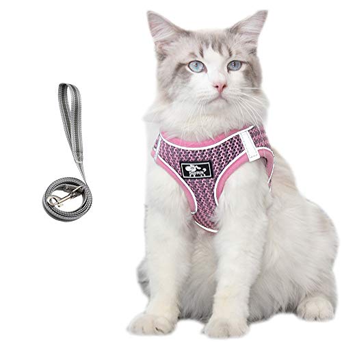 Haustiergeschirr, Katzengeschirr und Leine, verstellbar, atmungsaktiv, reflektierend, für Katzen, Kätzchen (L-Pink) von Dreamls
