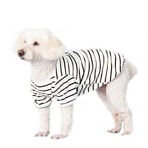 Haustierkleidung, Hunde-Shirt, weich, Hundeweste, Sommer, Baumwolle, Hunde-T-Shirt, Welpen-Outfits, Kostüm, Katzenkleidung für kleine und mittelgroße Hunde (4XL: Weiß) von Dreamls