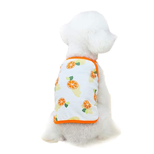 Haustierkleidung, Sommer-Hunde-Shirt, Baumwolle, Obst, Hund, T-Shirt, atmungsaktiv, Welpen-Schlingen-Weste, cooles Kostüm für kleine mittelgroße Hunde (XXL-Orange) von Dreamls