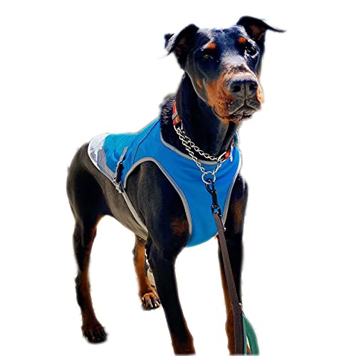 Hund Kühlweste Jacke, Sommer Regenbogen Hundegeschirr Mantel Outdoor Hundeweste Shirt für kleine mittelgroße Hunde (2XL-Blau) von Dreamls