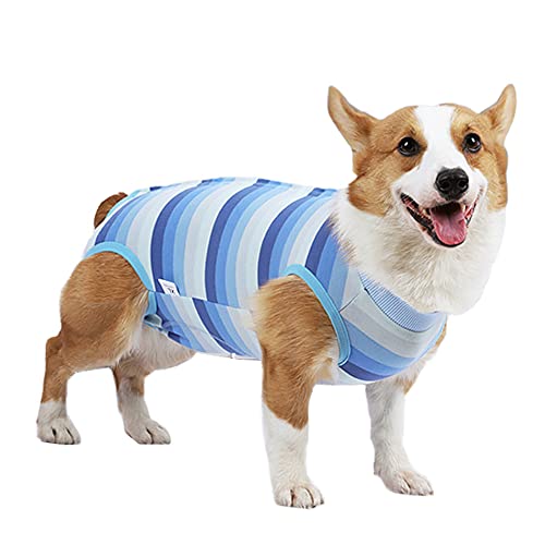 Hunde-Genesungsanzug, für weibliche und männliche Hunde, atmungsaktiv, für kleine Hunde, Einteiler, verhindert Lecken, Größe L: Blau von Dreamls
