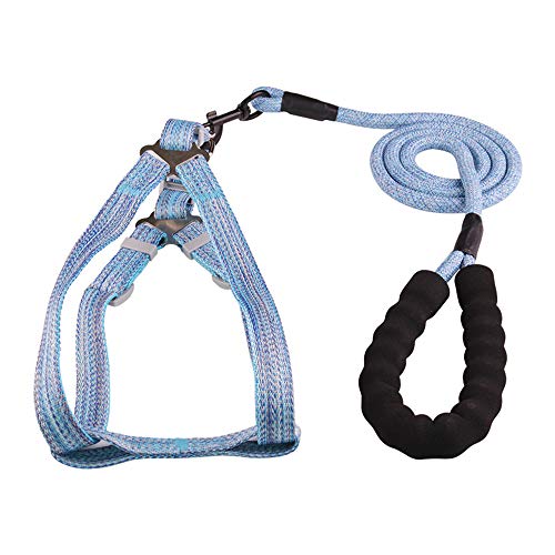 Hundegeschirr Leine Set Kein Ziehen Verstellbare Hundeweste Geschirr Langlebiges Nylon Hundetrainingsleine für Welpen Kleine Hunde (L: Blau) von Dreamls