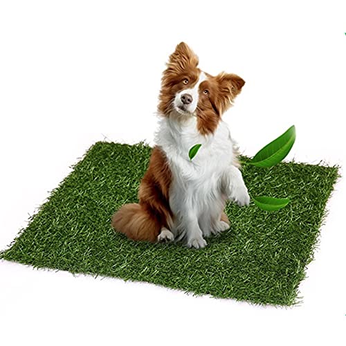 Hundegras Pee Pads, Kunstrasen Haustier Gras Mat Durable Plastic Puppy Potty Trainer Pad Indoor/Outdoor Use (40 x 60 cm) von Dreamls