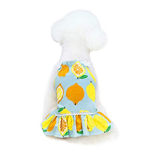 Hundekleid, Mädchen Welpe Tutu Rock Zitrone Katze Kleid Hund Prinzessin Kleid Sommer Zwergspitzkleidung Hundebekleidung für Katzen Welpen kleine Hunde (XL: Blau) von Dreamls