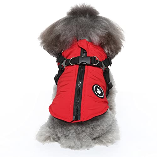 Hundekleidung, Hundemäntel mit Geschirr 2 in 1 Hundejacke Geschirr Reißverschluss Winter Winddicht Hundekostüm für Welpen Kleine Mittlere Hunde (M: Rot) von Dreamls