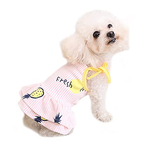 Hundepaar-Kleidung, Hunde-Shirt, Rock, gestreifte Hundeweste, Baumwolle, Ananas-Hundekleid, Sommer-T-Shirt, Mädchen-Bekleidung für Welpen, kleine mittelgroße Hunde (XL: Rosa-Kleid) von Dreamls