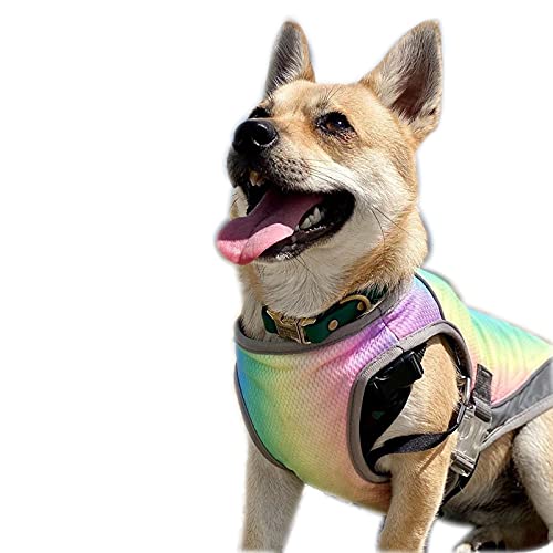 Kühlweste für Hunde, Sommerweste, Regenbogen, Hundegeschirr, Mantel, Outdoor-Hundeweste, Hemd für kleine mittelgroße Hunde (M-Rainbow) von Dreamls