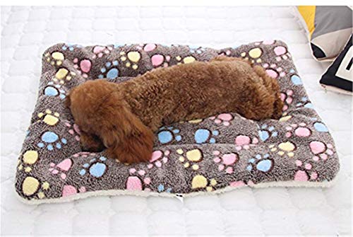 Dreamskull Hundematte Hundekissen Hundedecke Katzendecke Katzenmatte Hundebett Matte Decke Bett Hund Kleine Große Hunde Katzen Haustiere Flauschig und Weich Waschbar Plüsch Kuschelig (63*43cm, Braun) Dreamskull Hundematte Hundekissen Hundedecke Katzendecke Katzenmatte Hundebett Matte Decke Bett Hund Kleine Große Hunde Katzen Haustiere Flauschig und Weich Waschbar Plüsch Kuschelig (63*43cm, Braun) von Dreamskull