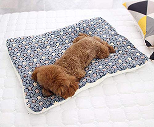 Dreamskull Hundematte Hundekissen Hundedecke Katzendecke Katzenmatte Hundebett Matte Decke Bett Hund Kleine Große Hunde Katzen Haustiere Flauschig und Weich Waschbar Plüsch Kuschelig (81*62cm, Blau) Dreamskull Hundematte Hundekissen Hundedecke Katzendecke Katzenmatte Hundebett Matte Decke Bett Hund Kleine Große Hunde Katzen Haustiere Flauschig und Weich Waschbar Plüsch Kuschelig (81*62cm, Blau) von Dreamskull