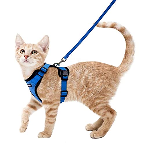 Dressnu Geschirre für Welpen, kleine Hunde, Brustgeschirr, Katzenleine, Kätzchenleine, Dunkelblau, XS Dressnu Geschirre für Welpen, kleine Hunde, Brustgeschirr, Katzenleine, Kätzchenleine, Dunkelblau, XS von Dressnu