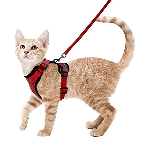 Dressnu Geschirre für Welpen, kleine Hunde, Brustgeschirr, Katzenleine, Kätzchenleine, Rot, Größe S Dressnu Geschirre für Welpen, kleine Hunde, Brustgeschirr, Katzenleine, Kätzchenleine, Rot, Größe S von Dressnu