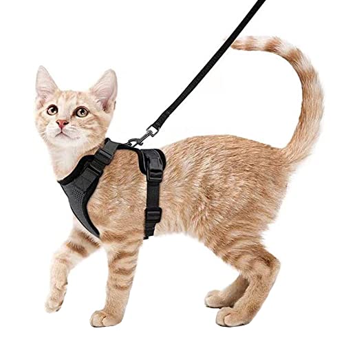 Dressnu Geschirre für Welpen, kleine Hunde, Brustgeschirr, Katzenleine, Kätzchenleine, Schwarz, Größe S Dressnu Geschirre für Welpen, kleine Hunde, Brustgeschirr, Katzenleine, Kätzchenleine, Schwarz, Größe S von Dressnu