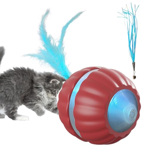 Dreuhuing Elektrisches Katzen Spielzeug, Anregendes Spielzeug Rollball, Elektrische Intelligente Spielzeugrolle Gegen Langeweile Jagdspiel Für Drinnen Dreuhuing Elektrisches Katzen Spielzeug, Anregendes Spielzeug Rollball, Elektrische Intelligente Spielzeugrolle Gegen Langeweile Jagdspiel Für Drinnen von Dreuhuing