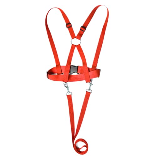 Dreuhuing Kinder-Pferdgeschirr, verstellbare Pferdeleine für Kinder, verschleißfeste Reitausrüstung, Outdoor-Aktivität, Rollenspiel für Freunde, Familie, , Teenager, Mädchen Dreuhuing Kinder-Pferdgeschirr, verstellbare Pferdeleine für Kinder, verschleißfeste Reitausrüstung, Outdoor-Aktivität, Rollenspiel für Freunde, Familie, , Teenager, Mädchen von Dreuhuing