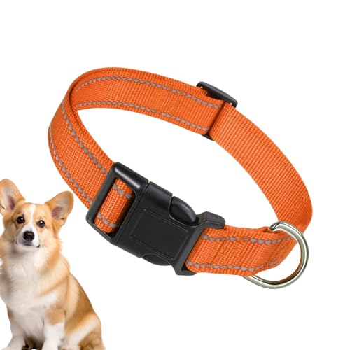 Dreuhuing Nylon-Hundehalsband – Komfort-Halsband für Hunde, atmungsaktiv, bequem, Nylon-Katzenhalsband, atmungsaktiv für Verschiedene Katzen Dreuhuing Nylon-Hundehalsband – Komfort-Halsband für Hunde, atmungsaktiv, bequem, Nylon-Katzenhalsband, atmungsaktiv für Verschiedene Katzen von Dreuhuing