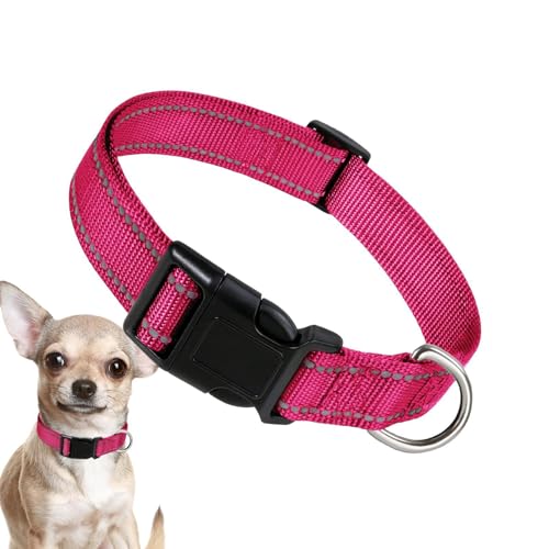 Dreuhuing Reflektierendes Hundehalsband – Reflektierendes Haustierhalsband | Verstellbare Nylon-Schnalle, Hundehalsband, Nylon, atmungsaktiv, bequem für Verschiedene Hunde Dreuhuing Reflektierendes Hundehalsband – Reflektierendes Haustierhalsband | Verstellbare Nylon-Schnalle, Hundehalsband, Nylon, atmungsaktiv, bequem für Verschiedene Hunde von Dreuhuing