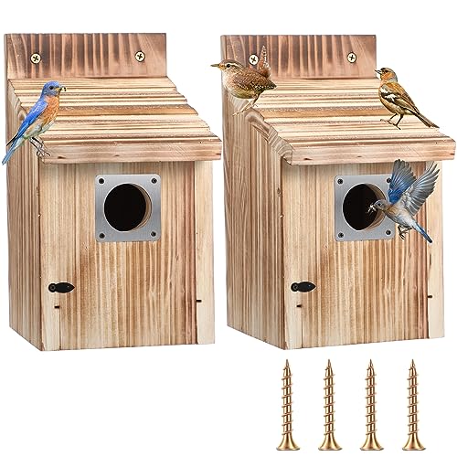 Dreyoo 1 Packung Zedernholz-Kastenhäuser für den Außenbereich, 3,8 cm Eingangsloch, Holz-Vogelhäuser mit Metall-Raubfischschutz, sicherer Riegel, Jungfrillen, Lüftungsschlitze für Bluebird Zaun, Dreyoo 1 Packung Zedernholz-Kastenhäuser für den Außenbereich, 3,8 cm Eingangsloch, Holz-Vogelhäuser mit Metall-Raubfischschutz, sicherer Riegel, Jungfrillen, Lüftungsschlitze für Bluebird Zaun, von Dreyoo