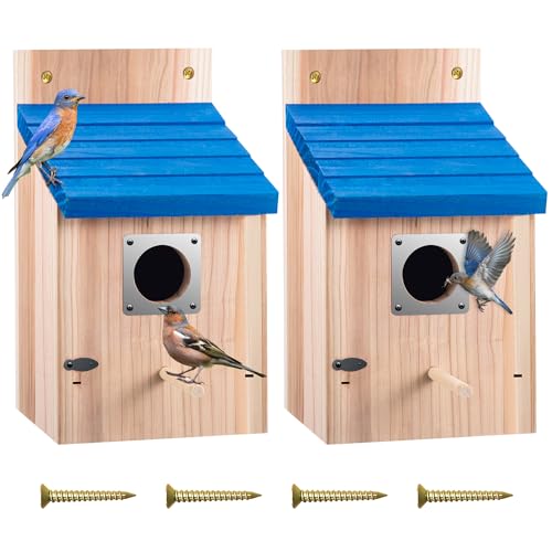Dreyoo Bluebird-Kastenhäuser aus Zedernholz für den Außenbereich, 3,8 cm Eingangsloch, Holz-Vogelhäuser mit Metallschutz, sicherer Riegel, junge Rillen, Lüftungsschlitze für Bluebird Zaun, Schwalbe (3 Dreyoo Bluebird-Kastenhäuser aus Zedernholz für den Außenbereich, 3,8 cm Eingangsloch, Holz-Vogelhäuser mit Metallschutz, sicherer Riegel, junge Rillen, Lüftungsschlitze für Bluebird Zaun, Schwalbe (3 von Dreyoo
