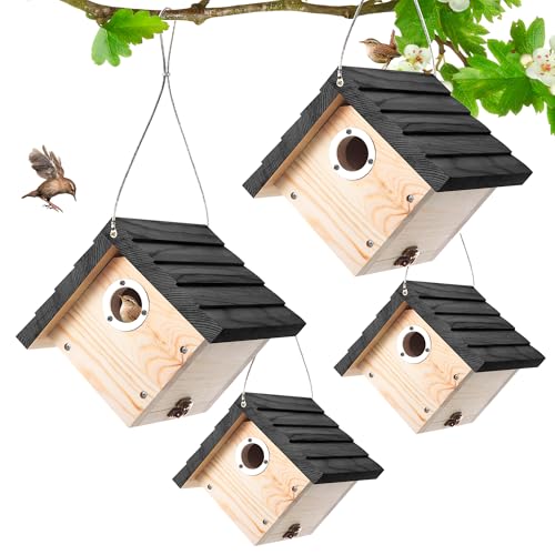 Dreyoo Zaunkönigshaus, 3,8 cm Eingangsloch, Zaunkönig, Vogelhäuser für den Außenbereich, mit Metallschutz, Lüftungsschlitzen, Kiefernholz, hängende Vogelhäuser aus Holz für Küken, 4 Stück Dreyoo Zaunkönigshaus, 3,8 cm Eingangsloch, Zaunkönig, Vogelhäuser für den Außenbereich, mit Metallschutz, Lüftungsschlitzen, Kiefernholz, hängende Vogelhäuser aus Holz für Küken, 4 Stück von Dreyoo