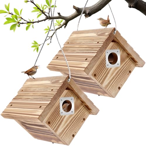 Dreyoo Zaunkönigshaus mit Metallschutz, 3,8 cm Eingangsloch, zum Aufhängen, Zaunkönig, Vogelhäuser für draußen, zum Nisten mit Lüftungsschlitzen, Kiefernholz für Küken, Anthrazit, 2 Stück von Dreyoo