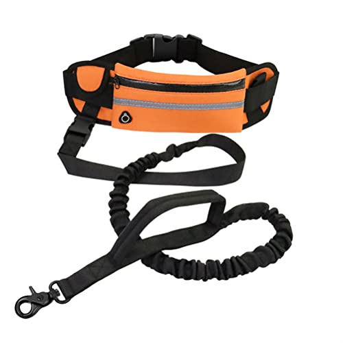 Drfeify Freihändige Hundeleine, für Outdoor-Jogging, Walking, Nachtlauf, mit Reißverschlusstasche, Reflektierend, Laufleine, Gürteltasche, Verstellbarer Hüftgurt, 5 Farben (orange) Outdoor-Bekleidung von Drfeify