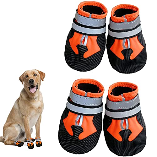 Dricar Hundeschuhe Pfotenschutz, Wasserdicht Hundeschuhe Langlebig Outdoor Welpenschuhe mit Reflektierenden Streifen für Kleine, Mittelgroße und Große Hunde Orange (L) von Dricar