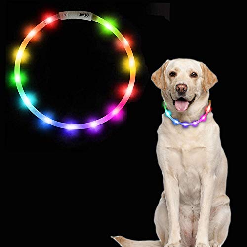 Dricar Leuchtender Hundehalsband, über USB wiederaufladbar, LED-Blink-Hundehalsband mit 3 Leuchtmodi, passend für kleine, mittelgroße und große Hunde und Katzen (Regenbogenfarben) von Dricar